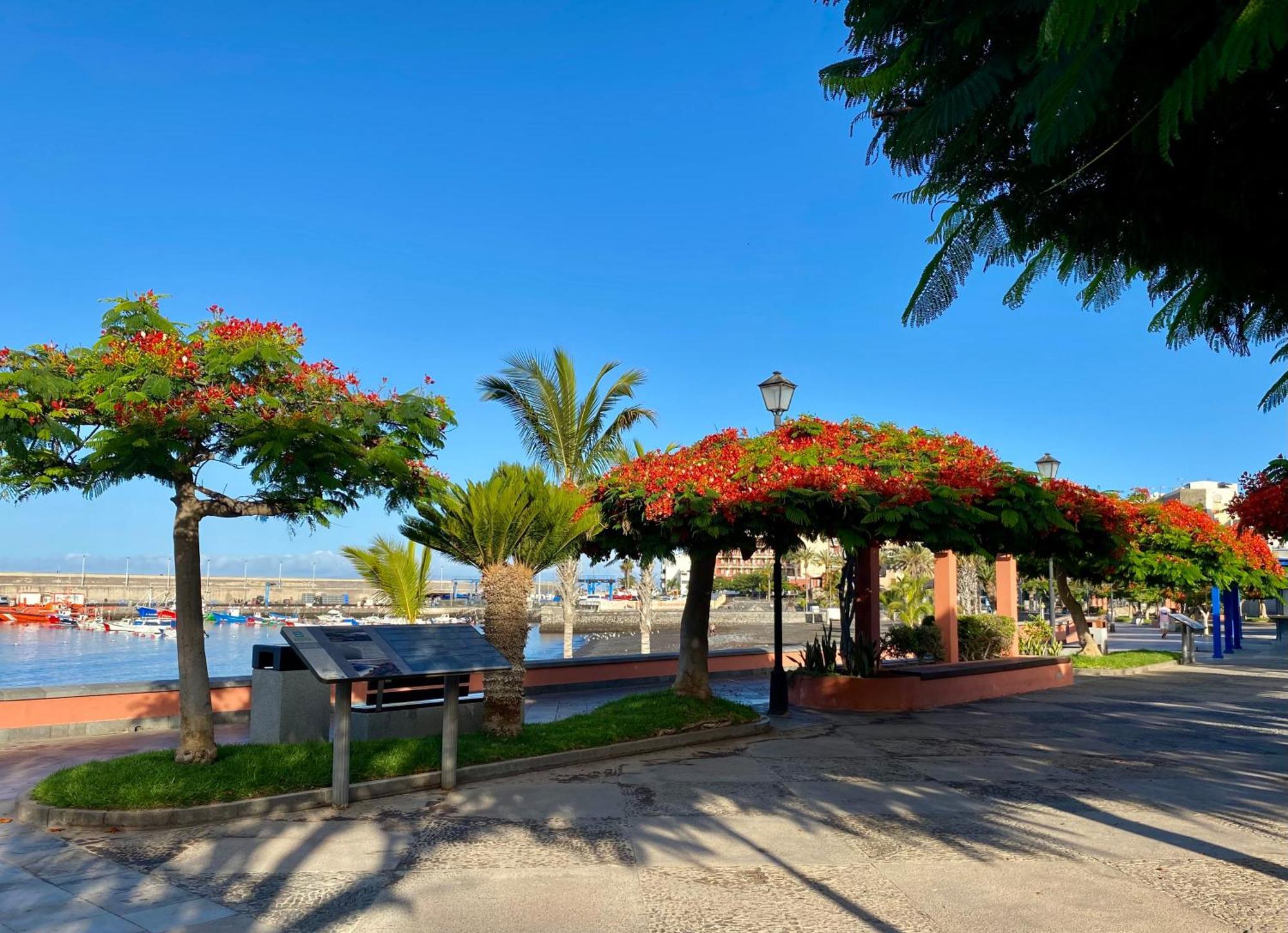 Casa Antonio - Apartamento Sol Playa de San Juan  Exterior foto